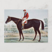 Carte Postale TOP Winner's Circle (Devant)