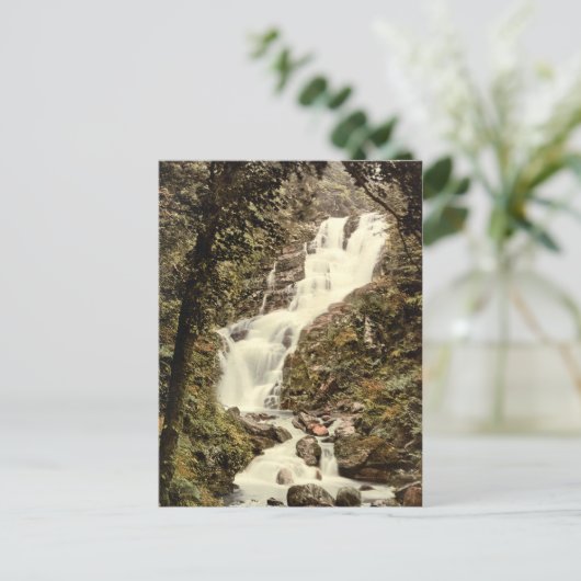 Carte Postale Torc Cascade, Killarney, comté de Kerry (Debout devant)