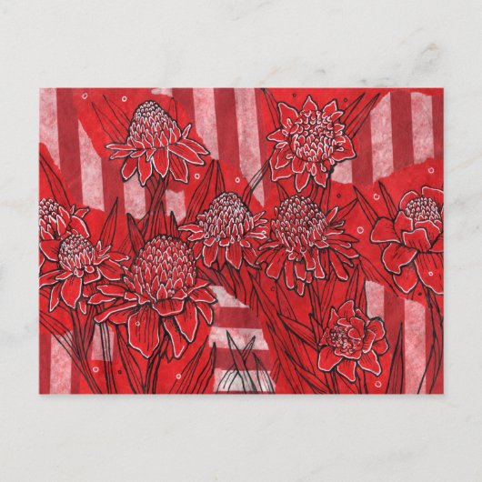 Carte Postale Torch Ginger Lily, Fleurs rouges Tropical Floral A (Devant)
