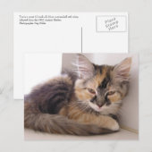 Carte Postale Tori (Devant / Derrière)