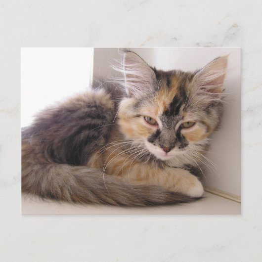 Carte Postale Tori (Devant)