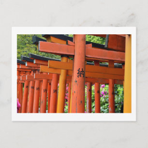 Carte Postale Torii Gates, Nezu Sanctuaire : Tokyo