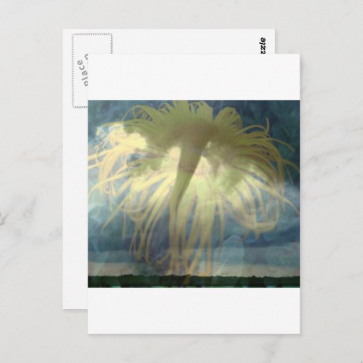 Carte Postale Tornado Inula (Devant / Derrière)