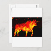 CARTE POSTALE TORO BRAVO (Devant / Derrière)