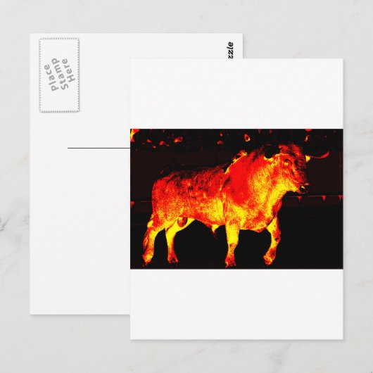 CARTE POSTALE TORO BRAVO (Devant / Derrière)