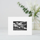 Carte Postale Toronto Skyline (Debout devant)