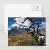 Carte Postale Torres del Paine National Park (Devant / Derrière)