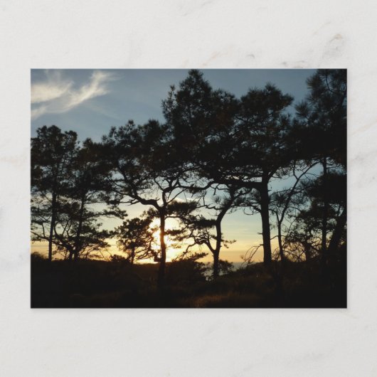 Carte Postale Torrey Pine Sunset II Californie Paysage (Devant)