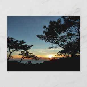 Carte Postale Torrey Pine Sunset III Paysage californien