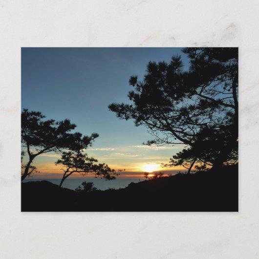 Carte Postale Torrey Pine Sunset III Paysage californien (Devant)