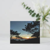 Carte Postale Torrey Pine Sunset III Paysage californien (Debout devant)