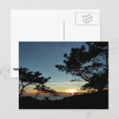 Carte Postale Torrey Pine Sunset III Paysage californien (Devant / Derrière)