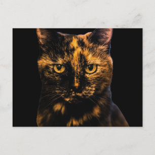 Carte Postale Tortie Cat Love Design #2
