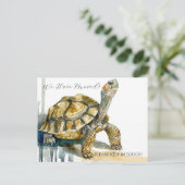 Carte Postale Tortoise (Debout devant)