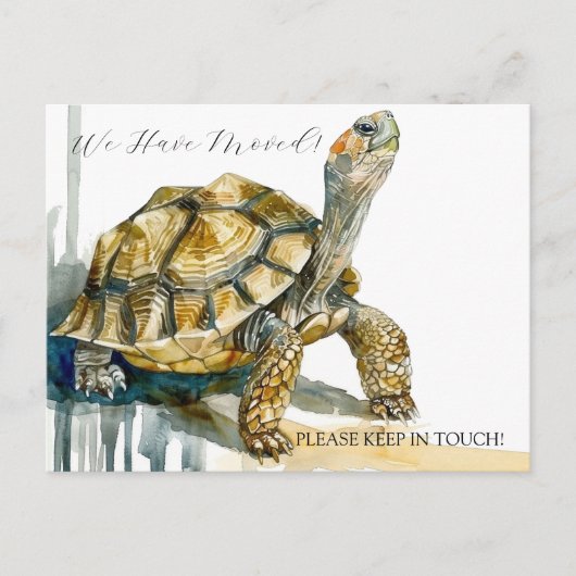 Carte Postale Tortoise (Devant)