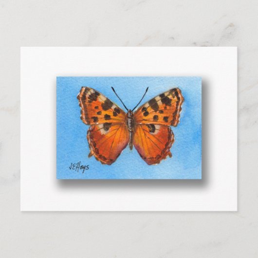 Carte postale Tortoise Shell Butterfly (Devant)