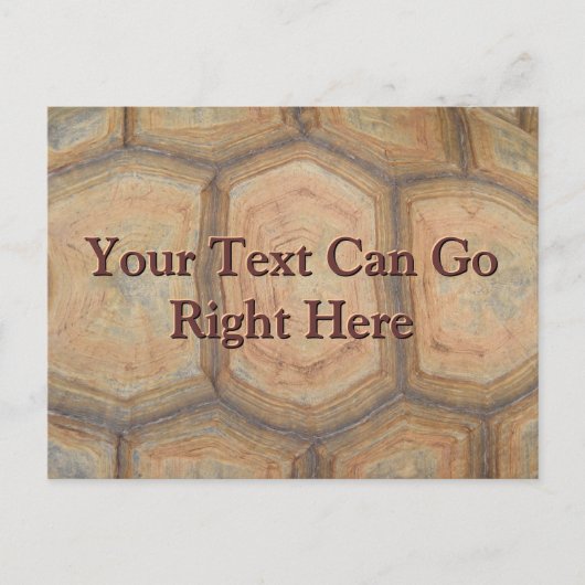 Carte postale Tortue (Devant)