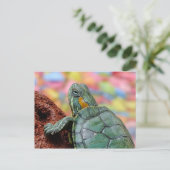 Carte Postale Tortue (Debout devant)