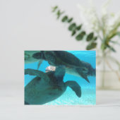 Carte Postale tortue (Debout devant)