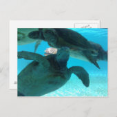 Carte Postale tortue (Devant / Derrière)