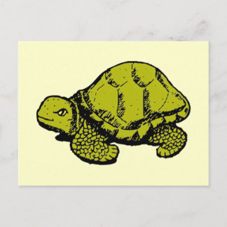 Carte Postale Tortue