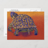Carte Postale Tortue à boîte, tortue (Devant / Derrière)