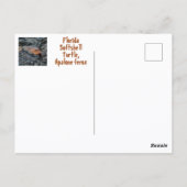 Carte Postale Tortue à carapace molle de Floride Photographie Fa (Dos)