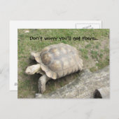 Carte Postale Tortue à dire (Devant / Derrière)