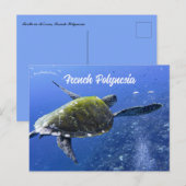 Carte Postale Tortue à Mo'orea Polynésie française (Devant / Derrière)
