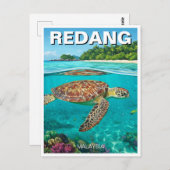 Carte Postale Tortue à Redang Malaysia (Devant / Derrière)
