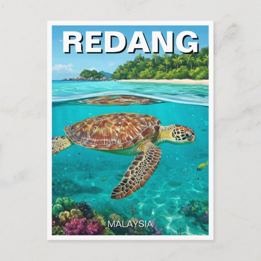 Carte Postale Tortue à Redang Malaysia (Devant)