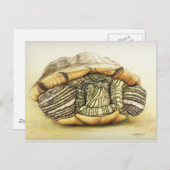 Carte postale "Tortue" Art Reproduction (Devant / Derrière)