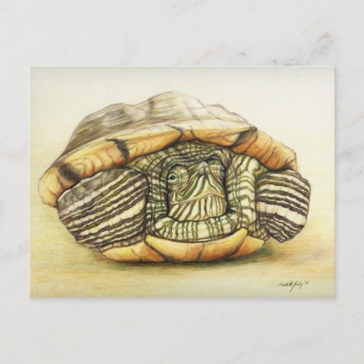 Carte postale "Tortue" Art Reproduction (Devant)