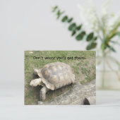 Carte Postale Tortue avec citation (Debout devant)