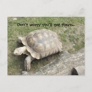 Carte Postale Tortue avec citation