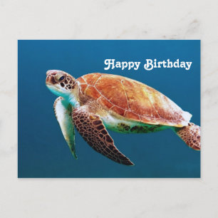 Carte Postale Tortue Bleue Eau Mer Photo Anniversaire