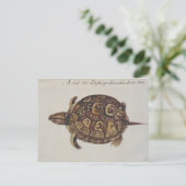 Carte Postale Tortue boîte commune (Debout devant)