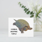 Carte Postale Tortue commune - Chelydra serpentina (Debout devant)