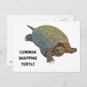 Carte Postale Tortue commune - Chelydra serpentina (Devant / Derrière)