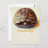 Carte Postale Tortue de JerseyFawn (Devant / Derrière)