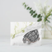 Carte Postale Tortue de l'aquarelle (Debout devant)