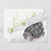 Carte Postale Tortue de l'aquarelle (Devant / Derrière)
