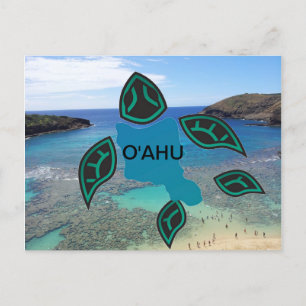 Carte Postale Tortue de l'île Hawaii Oahu