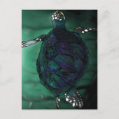Carte Postale Tortue de mer (Devant)