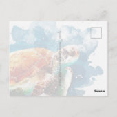 Carte Postale Tortue de mer (Dos)