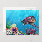 Carte Postale Tortue de mer (Devant / Derrière)