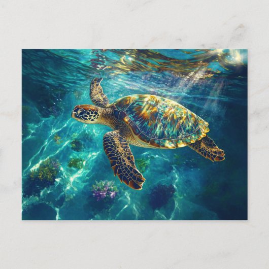 Carte Postale Tortue de mer dans la belle eau bleue (Devant)