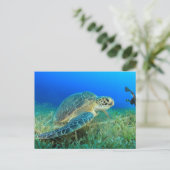 Carte Postale Tortue de mer dans l'océan (Debout devant)