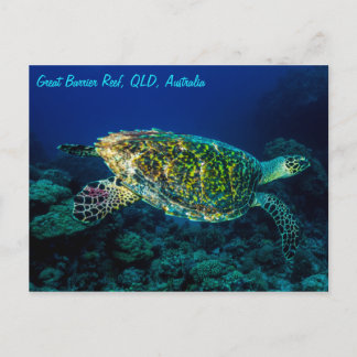 Carte Postale Tortue de mer de Hawksbill Grande barrière récif c