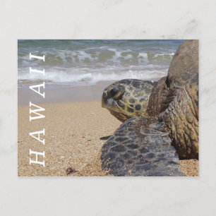 Carte Postale Tortue de mer de l'océan Pacifique Hawaii